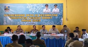Musrenbang Kecamatan se-Kabupaten Pesisir Barat, Penyusunan RKPD Tahun 2024