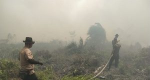 Karhutla di Desa Pasir, Personel Polres Mempawah & Tim Gabungan Terus Berjibaku Melakukan Pemadaman