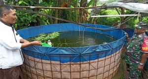 Babinsa Koramil 11/Tahunan Sambangi Warga Pembudidaya Ikan Lele dan Nila