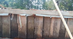 Terkesan Asal Jadi CV Amar Mukti Diduga Gunakan Material tanah timbun Ilegal