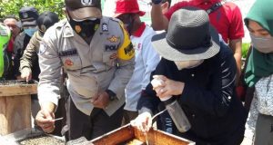 Brigadir JA Siregar Pioner Dan Pengembang Budidaya Lebah Kelulut