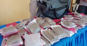Ganja Seberat 2,6 Kg Bersama Pelaku Diamankan Anggota Polres Yapen