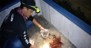 Akhirnya Terungkap Tentang Bayi yang Lahir Di Gardu