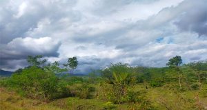 Pemerintah Pusat Bangun Bangun 2100 Unit Rumah, Untuk Pejuang Timor-Timur