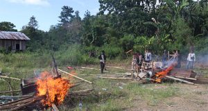 Polisi Lakukan Pembongkaran dan Penertiban Arena Sabung Ayam di Nabire