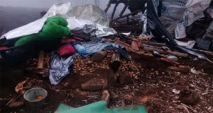 Sedih dan Meratapi Nasib Masyarakat Kp. Pelag Garut Atas Tindakan BKSDA Yang Hancurkan Tanaman Kentang dan Cabai Pengharapan Jelang Lebaran