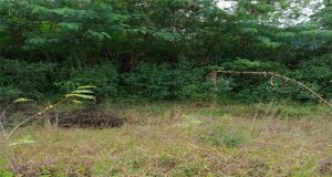 Pertamina EP Prabumulih Field Lakukan Optimalisasi Kejadian Kebocoran Pipa