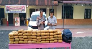 Sat Reskrim Polsek Tj Pura Polres Langkat Tangkap 3 Karung Daun Ganja, 2 Orang Pelaku Di Duga Kurir