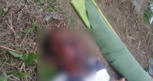 Kematian Tragis Mangasa Marbun Meninggalkan Tanda Tanya Keluarga