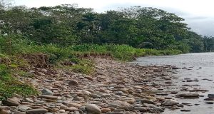 Sawah Masyarakat Tergerus Aliran Sungai Aek Sirahar
