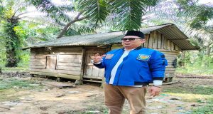 Bongkar Kasus Kepemilikan Kebun Kelapa Sawit Dalam Kawasan Hutan, Ketua KNPI Riau Kena Teror