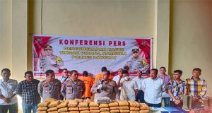 Polres Langkat Konferensi Pers Tindak Pidana Narkotika 105 Ball Daun Ganja Kering