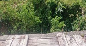 Jembatan Kampung Lani, Kimi Bawah Putus Total Dan Tak Kunjung Diperbaiki