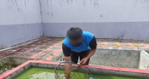 Rutan Prabumulih Kemenkumham Sumsel Berikan Bimbingan Kemandirian Berupa Budidaya Ikan Lele Kepada WBP