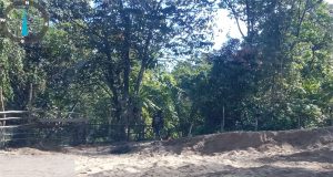 Pegawai ASN Di Duga Melakukan Kegiatan Penambang Pasir Di Alur Sungai Pesaguan Kecamatan Tumbang Titi Kabupaten Ketapang