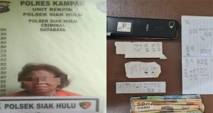 Wanita Parubaya di Tangkap Polisi Dalam Kasus Judi Togel di Siak Hulu