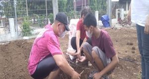 Mengenal Program Kampung Iklim (Proklim)