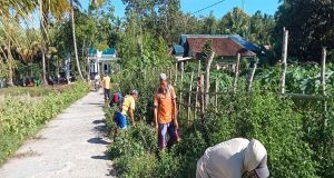 Pemerintah Pekon Tanjung Setia Melakukan Kegiatan Padat Karya Tunai Dana Desa Tahun 2023