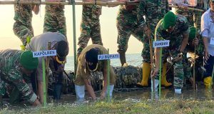 Dandim 0719/Jepara : Lahan Seluas 1 Hektar di kawasan Pantai Bulakbaru, Ditanami 700 Bibit Mangrove