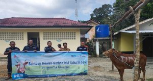 PT Timah Tbk Salurkan Bantuan Hewan Kurban Di Pulau Belitung