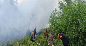 Respon Cepat Brimob Kalbar Padamkan Api Hadapi Karhutla