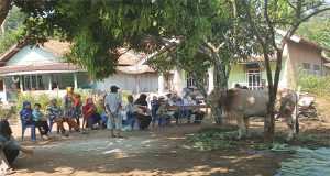 Warga Dusun 2 Tanjung Aman Adakan Pemotongan Hewan Kurban