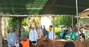 Hari Raya Idul Adha 1444 H, Polres Prabumulih Menyumbang 1 Ekor Kerbau, 6 Ekor Sapi, Dan 6 Ekor Kambing, Untuk Kurban