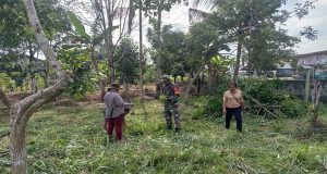 Bersama masyarakat, Babinsa Koramil 1202-09/Jagoi Babang karya bakti bersihkan lingkungan sekolah