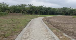 Diduga Ada Proyek Siluman Di Desa Suka Damai Timur, Kades Bungkam!!