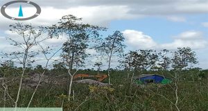 Polda Kalbar Komitmen Berantas Pelaku PETI Dengan 100 Hari Kerja