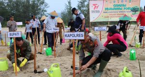 Menyambut HUT Bhayangkara Ke-77, Polres Belitung Timur Tanam Ribuan Pohon Mangrove Di Pesisir Pantai Damar