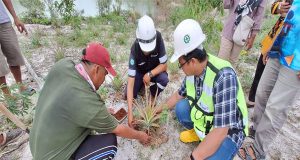 PT Timah Tbk Berikan Pelatihan Untuk Kelompok Tani Air Jelutung Belitung