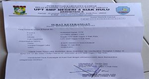 Rasti Giselli Togatorop Juara Satu Umum di SMP Negeri 4 SiakHulu