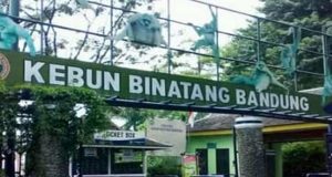 Konflik Kebun Binatang Bandung, Forum Ormas Jabar Himbau Tetap Jaga Kondusifitas