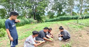 Pnt. Mario Mamuntu Ajak Pemuda GMIM Puncak Selamat Buat Penghijauan Green Generation