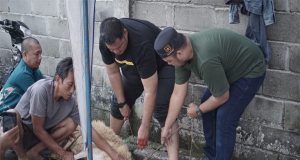 Partai Ummat Kota Medan Berqurban
