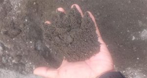 DPUPR Kabupaten Jepara Didesak Jaringan Aktivis Jalanan (Jaran), Tindak Tegas Bagi Kontraktor Yang Tak Patuhi Aturan