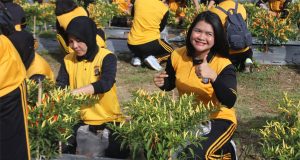 Manfaatkan Lahan dan Panen Cabai Ala Polda Sulteng