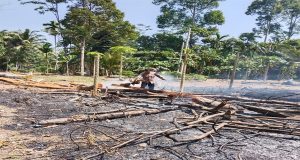 Respon Cepat Polsek Bengkunat Polres Pesisir Barat Memadamkan Api Di Titik Hotspot Karhutla Kebakaran Hutan Dan Lahan