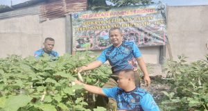 Timpal Singkawang / Paldam XII / TPR, Panen Terong Bersama Warga