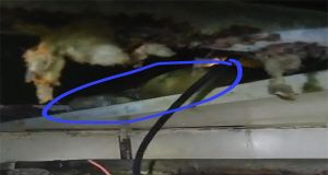 Penemuan Mayat Janin Bayi Perempuan Di atas Kapal KM Tilongkabila