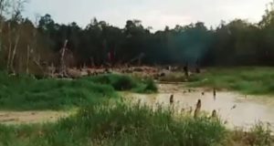 Sungguh Terlalu, Kegiatan Tambang PETI di Desa Sebatuk Ternyata itu Fakta Dan Bukanlah Hanya Hoaks