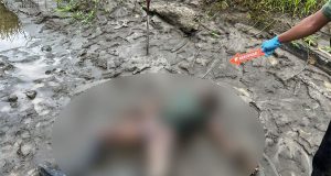 Aparat gabungan TNI-Polri mengevakuasi 5 jenazah yang diduga Kelompok Kriminal Bersenjata (KKB) di Yahukimo