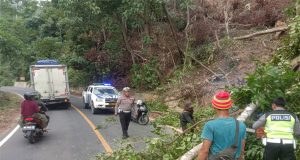 Sat Lantas Polres Pesisir Barat Terjun Langsung Membersihkan Pohon Tumbang
