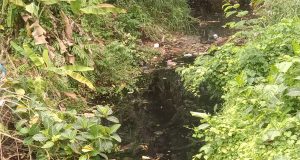 Camat Punduh Pedada Harus Ada Tindakan Serius Oleh Pihak Perusahaan Tambak