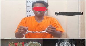 Under Cover Sat Narkoba Polres Langkat berhasil amankan tersangka dan 2 kg Ganja