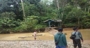 Percuma!!! Spanduk dan Baleho Peringatan di Larangan Penambang Emas Tanpa Izin, Hanyalah Cuma Slogan Biasa