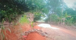 Pembangunan Drainase dan Jalan Lapen TA 2023Tidak Dilaksanakan Mantan Kades Negeri Galih Rejo