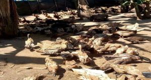 Ismunandi Syofyan, SE: kita Hadir Untuk Masyarakat dan Siap Berjuang Untuk Masyarakat