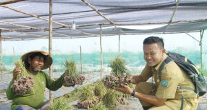 Digital Farming Buat Petani Lebih Efektif Dan Efisien